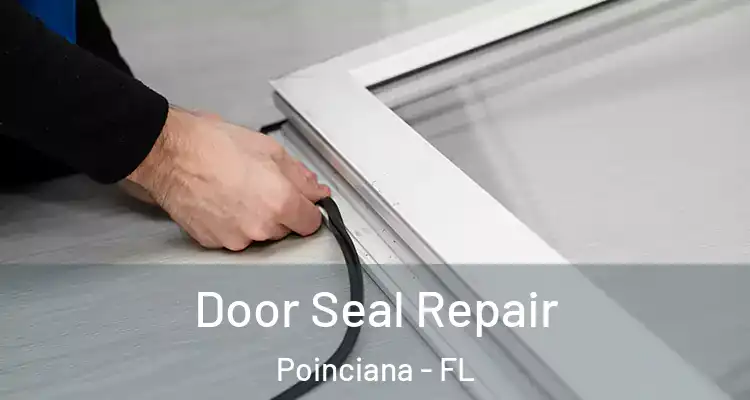 Door Seal Repair Poinciana - FL