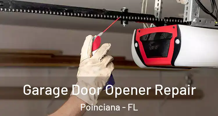 Garage Door Opener Repair Poinciana - FL