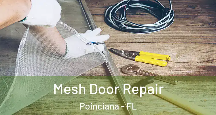 Mesh Door Repair Poinciana - FL