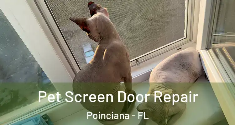 Pet Screen Door Repair Poinciana - FL