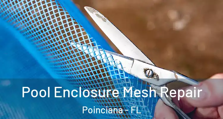 Pool Enclosure Mesh Repair Poinciana - FL
