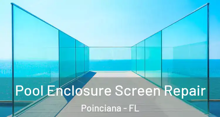  Pool Enclosure Screen Repair Poinciana - FL