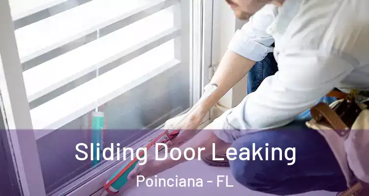 Sliding Door Leaking Poinciana - FL