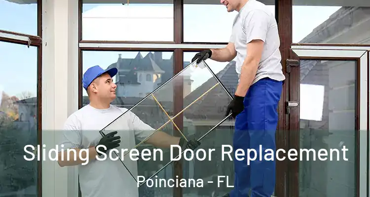 Sliding Screen Door Replacement Poinciana - FL