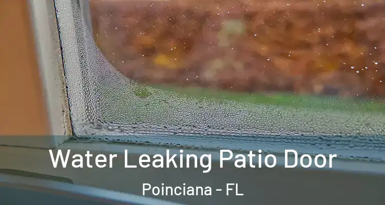 Water Leaking Patio Door Poinciana - FL